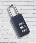 SAC Resettable Lock